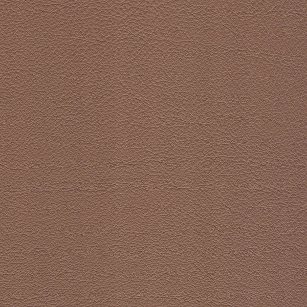 Medici Upholstery Leather - FREE SHIPPING