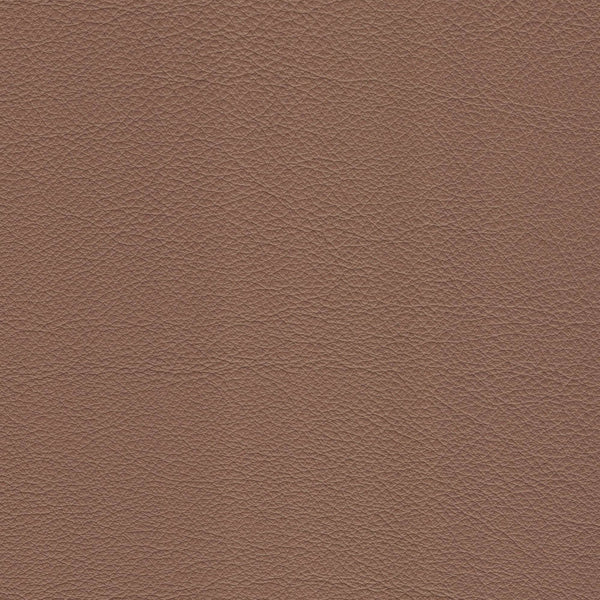 Medici Upholstery Leather - FREE SHIPPING
