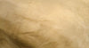 Pantone Tan Lamb Leather- SPECIAL