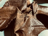 Premium Ostrich Offcuts - XS - Small
