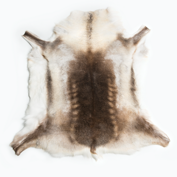 Reindeer Rug - FREE SHIPPING