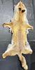 Fox Pelt