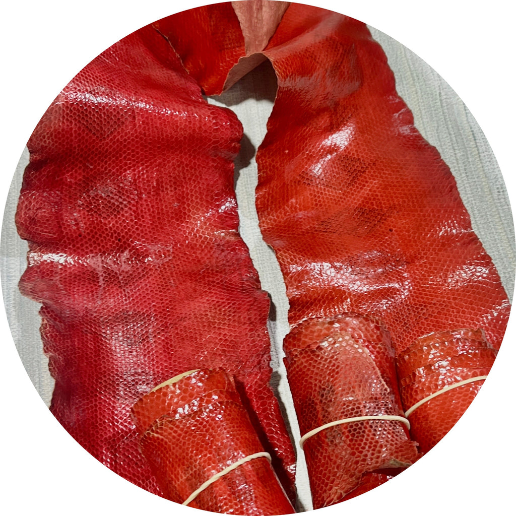 Red Snake Skin - Special