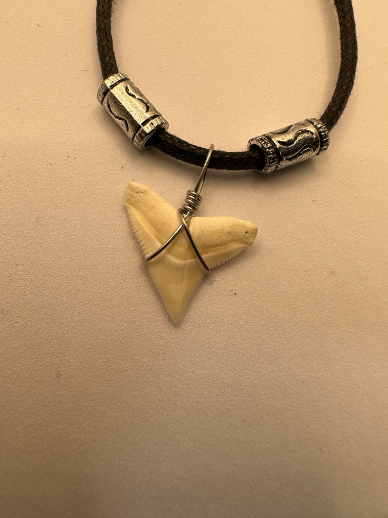 Genuine Bull Shark tooth Necklace