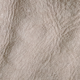 Ugg Boots - Short - Female